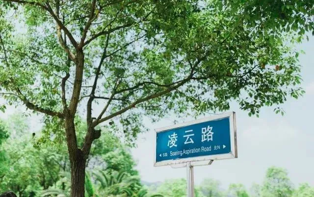 适合不同年龄段篮球爱好者的体能训练方案_1